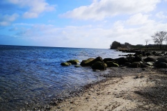 IMG_20200228_120321